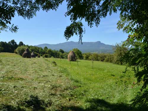 Foto Gutaiul vazut din Hoteni (c) Petru Goja